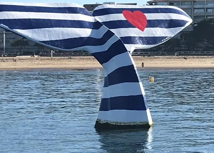 Grande Maison Avec Patio Proche Et Centre 펜션 아르카숑