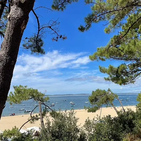 Grande Maison Avec Patio Proche Et Centre Сasa de vacaciones Arcachón