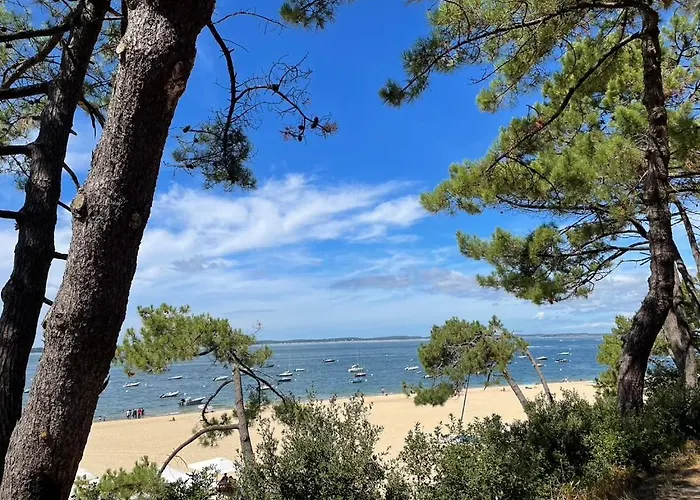 Grande Maison Avec Patio Proche Et Centre Сasa de vacaciones Arcachón